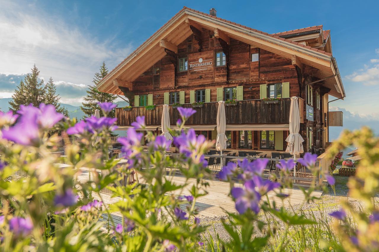 Rinderberg Swiss Alpine Lodge Zweisimmen Exteriör bild